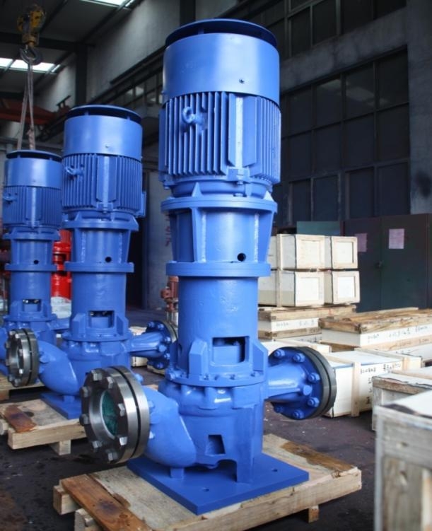 Vertical pipeline pump AYG-OH3